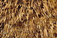 Drach Caves and Pearl Shop Mallorca Half Day Tour  9