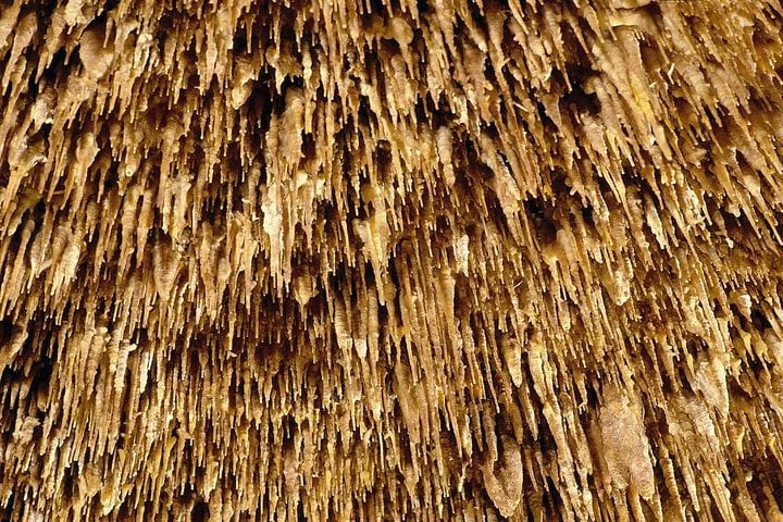 Drach Caves and Pearl Shop Mallorca Half Day Tour  9