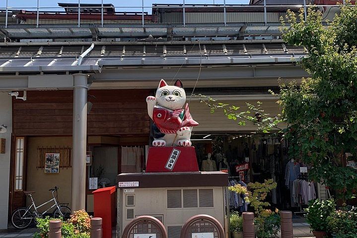 Takayama oldtownship walking tour with local guide. (About 70min)