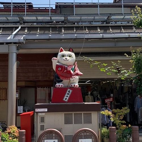 Takayama oldtownship walking tour with local guide. (About 70min)