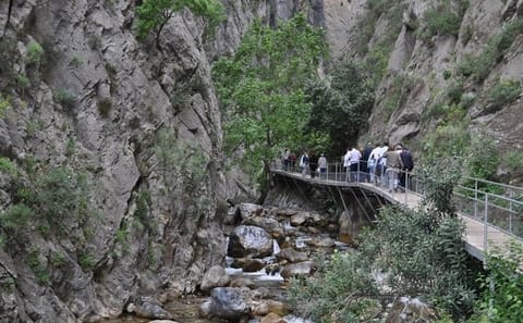 Sapadere Canyon Adventure Tour with Lunch from Alanya
