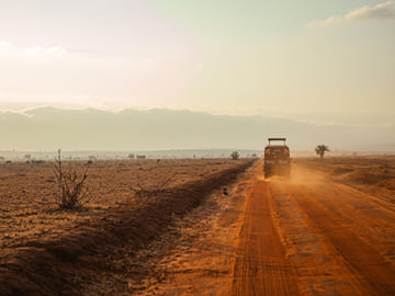 2-Day Chobe Signature Game & Boat Safari