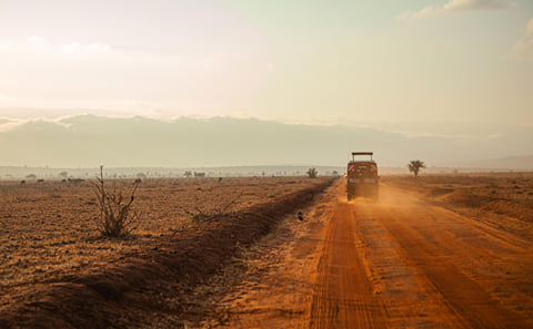 2-Day Chobe Signature Game & Boat Safari