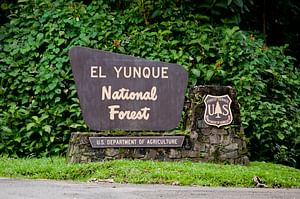 El Yunque Rainforest off the Beaten Path Hiking and Waterslide Tour