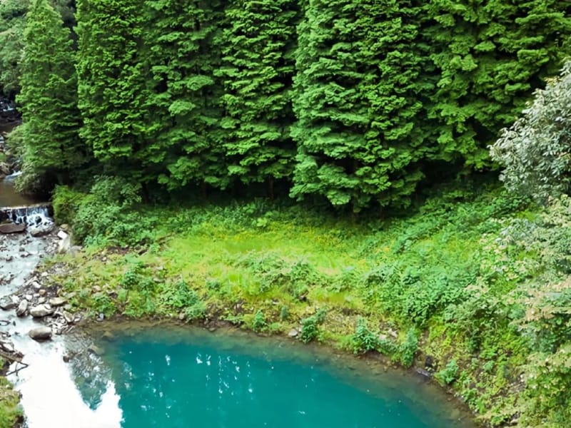 Chengdu: Swan Forest Farm Hidden Nature Oasis Day Trip