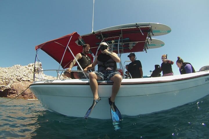 Sea of Cortez Combo: Whale Sharks, Sea Lions & Balandra Beach 10