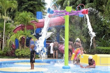 Dunn's River Falls and Ocho Rios Tour from Montego Bay