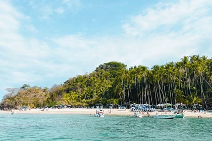 Visit Tortuga Island with Lunch from San José