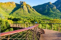  Robben Island, Kirstenbosch Gardens and Groot Constantia Tour 9