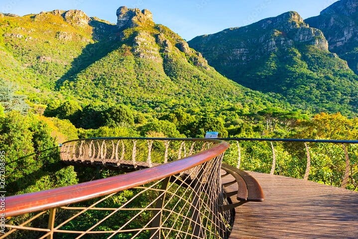  Robben Island, Kirstenbosch Gardens and Groot Constantia Tour 9