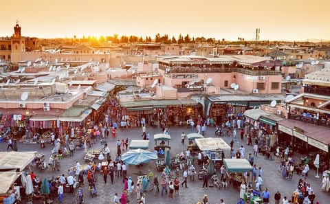 11-Day Adventure Tour from Marrakech to Ait Ben Haddou and Casablanca