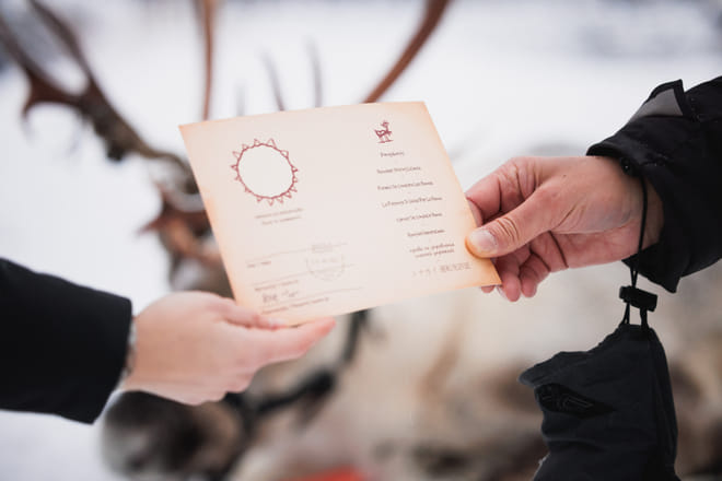 Husky and Reindeer Experience photo 5