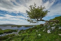 Hike Connemara National Park Including Transport from Galway City. Guided. Full Day. 7