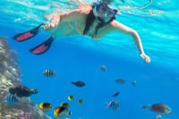 Tiran Island Full Day Snorkeling Sea trip, Lunch With Transfer - Sharm El Sheikh