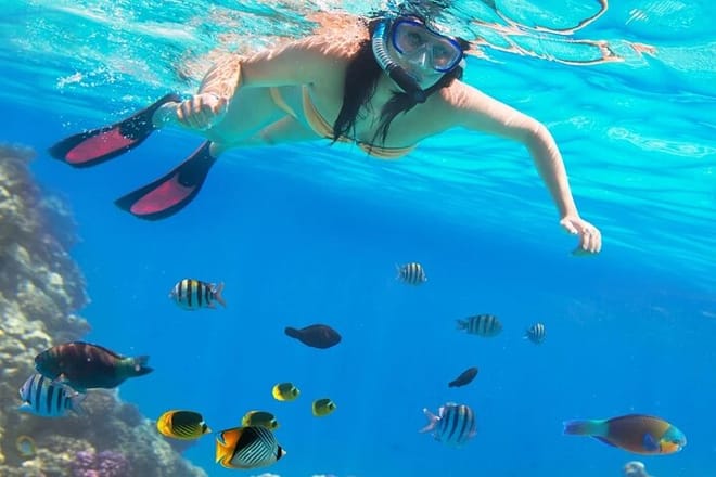 Tiran Island Full Day Snorkeling Sea trip, Lunch With Transfer - Sharm El Sheikh