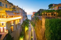 Full Day Private Tour Naples to Sorrento and Pompeii  7