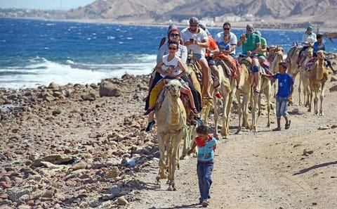 Blue Hole and Dahab City Adventure Tour from Sharm El Sheikh