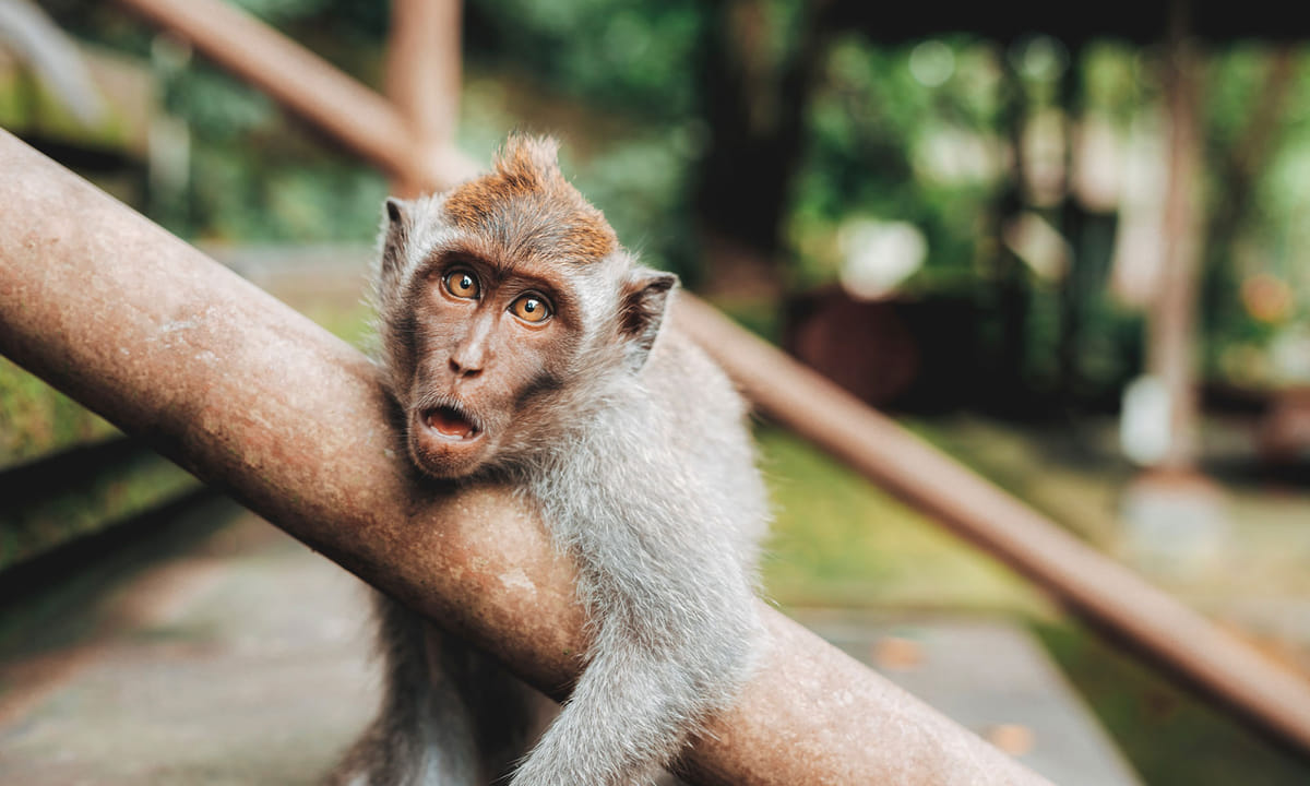 Private Tour :  3 Days Tour Package with snorkeling