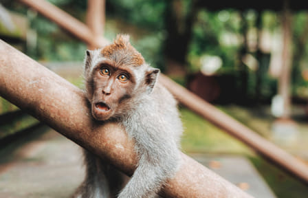 Private 3-Day Cultural and Snorkeling Tour in Bali