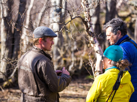 Lake Mývatn Nature reserve Private Birdwatching tour, photo 5