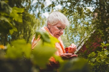 Private Walking Tour and Photography Session in Luxembourg Gardens, Paris