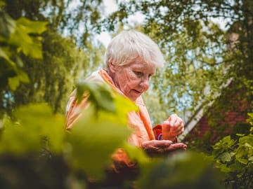 Private Walking Tour and Photography Session in Luxembourg Gardens, Paris