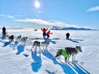 Dog Sledding Near Reykjavik , photo 10