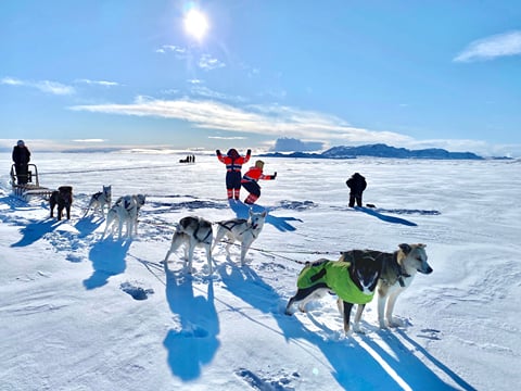 Dog Sledding Near Reykjavik , photo 10