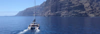 Whale Watching Catamaran in Costa Adeje 9