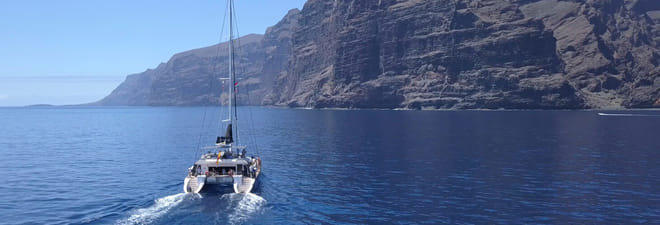 Whale Watching Catamaran in Costa Adeje 9