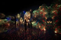 Dubai Arte Museum: The Soul of Modern Art 9