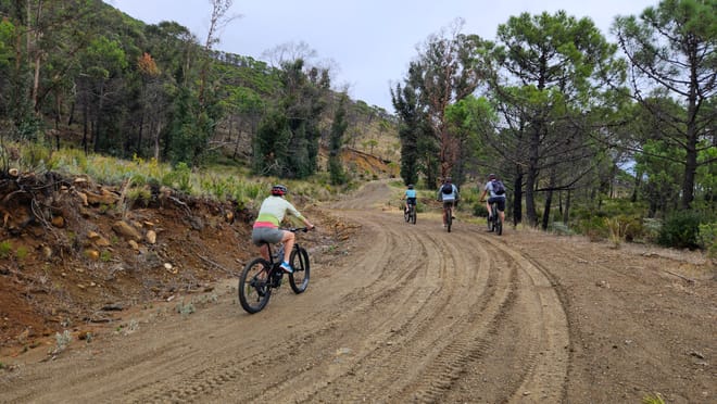 E-Bike Tour Sierra Bermeja: Discover the Natural Beauty of Estepona's Mountains photo 4