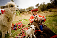 Seminar on Ancient Textiles and the Ceramic Workshop of Pablo Seminario in the Sacred Valley, Cusco 10