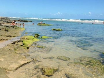 4-Day Coastal Adventure from Fortaleza to Natal by Buggy or 4WD
