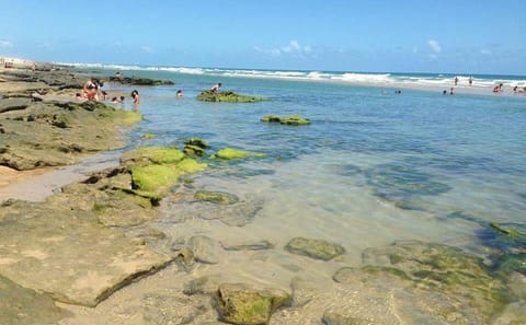 4-Day Coastal Adventure from Fortaleza to Natal by Buggy or 4WD