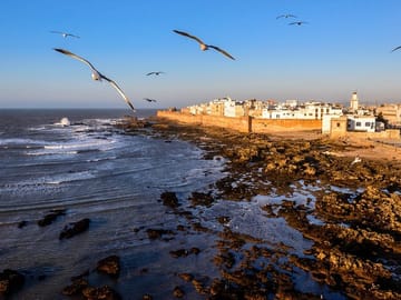 Marrakech to Essaouira / Small group day tour To Essaouira