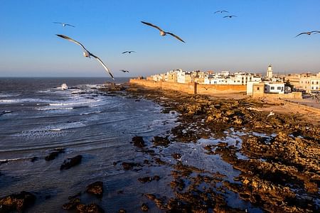 Marrakech to Essaouira Day Trip: Explore Medina & Argan Oil Experience