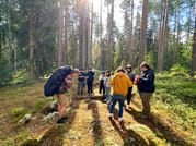 Mushroom Hunting 2