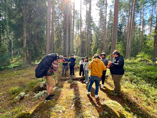 Mushroom Hunting photo 2