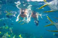 Los Cabos Ultimate Snorkeling Adventure with Open Bar 9