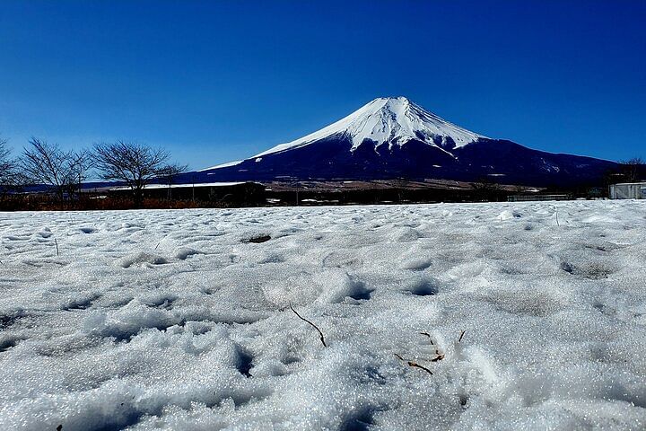 3 Days Private Tour Tokyo, Mt. Fuji and Hakone