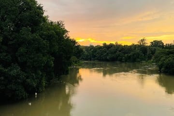 Day Trip from Goa to Anshi National Park and Dandeli Adventure