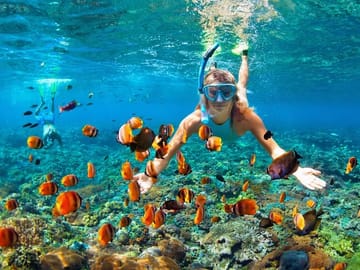 Snorkeling and Boat Ride Adventure in Montego Bay