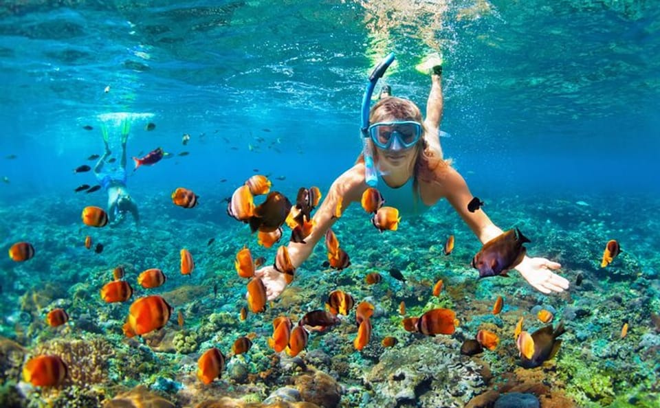 Snorkeling and Boat Ride Adventure in Montego Bay