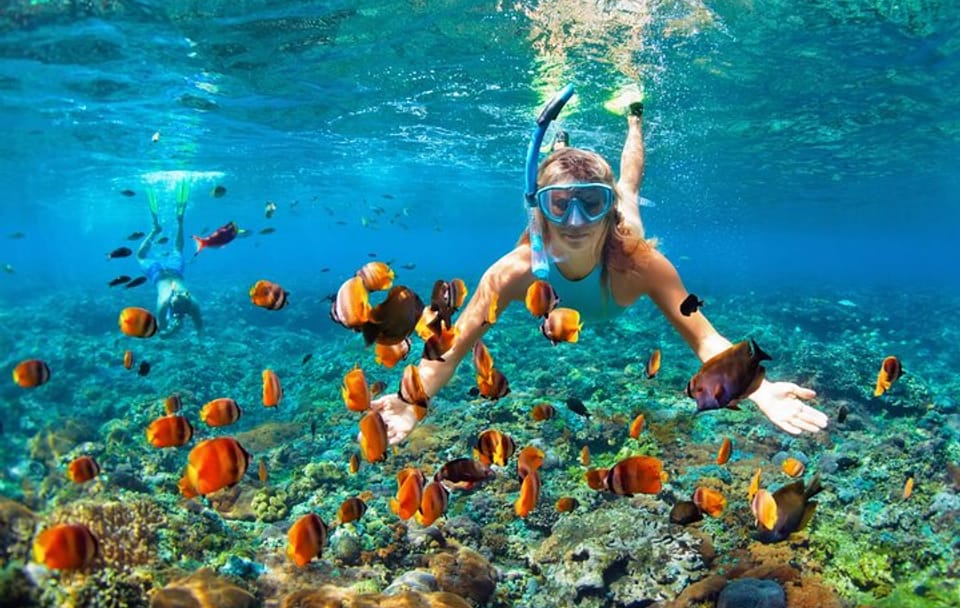 Snorkeling and Boat Ride Adventure in Montego Bay
