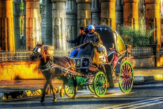City Tour By Horse Carriage One Hour in Luxor - Luxor