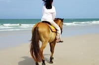 Antalya: Forest Horseback Riding with Lara Beach Photo Stop 5
