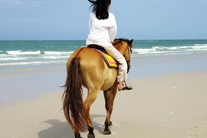 Antalya: Forest Horseback Riding with Lara Beach Photo Stop 5