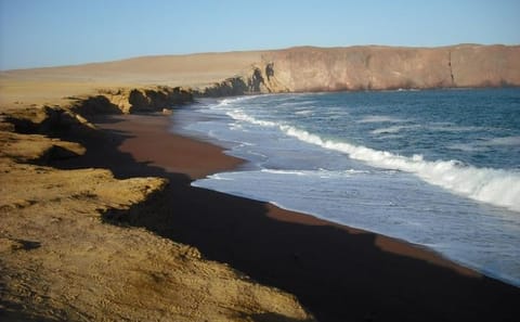 Ballestas Islands and Paracas National Reserve Day Trip from Paracas