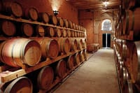 Barrica of best wine